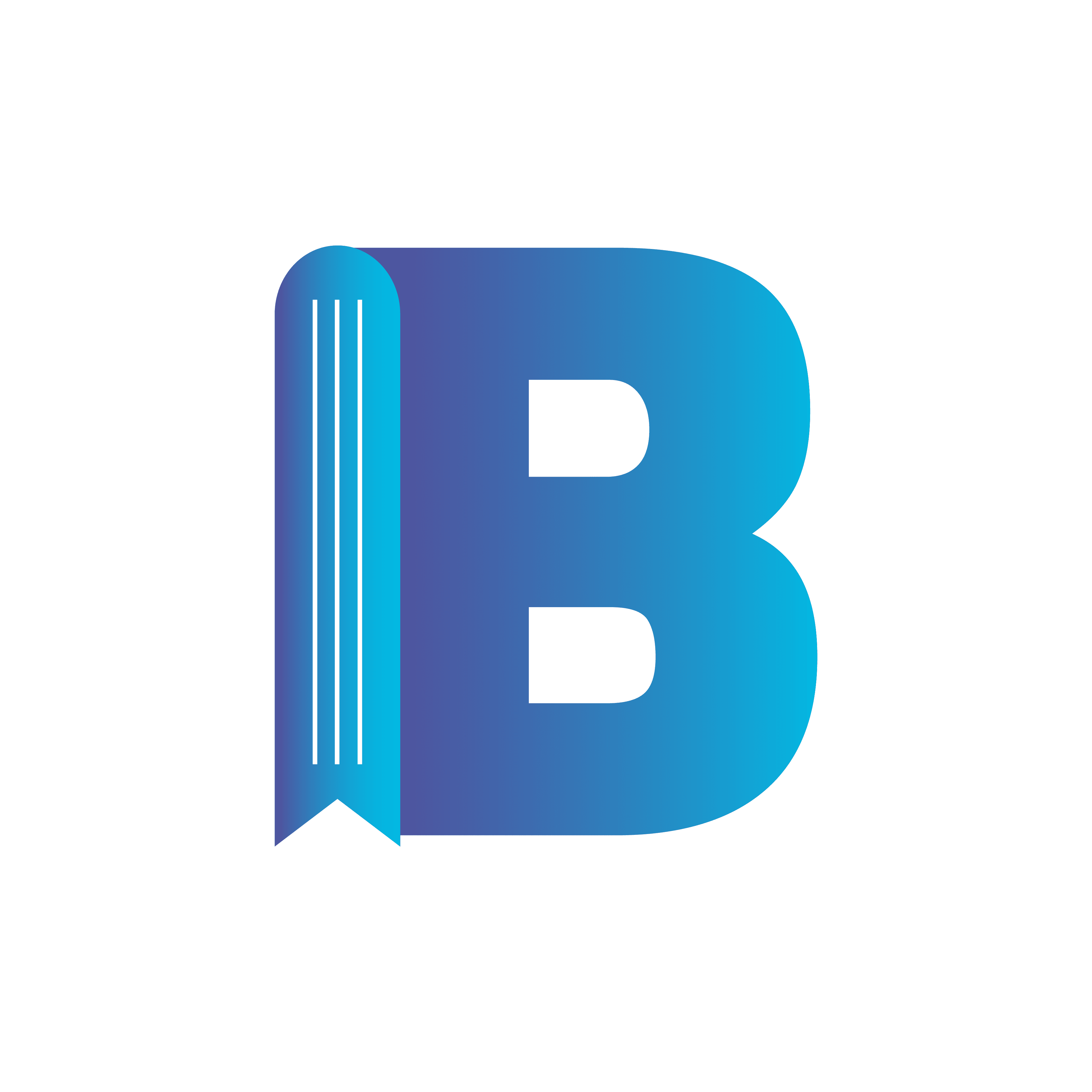 Bushra Education Logo