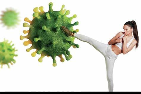 Immunity third year Bio 2024